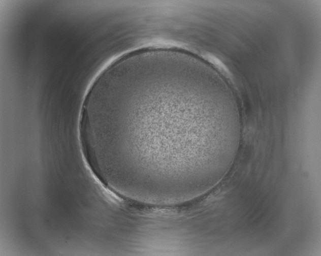 X0000071811183200607072109