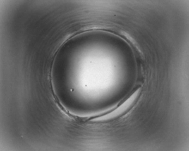 X0000071811185200607072109