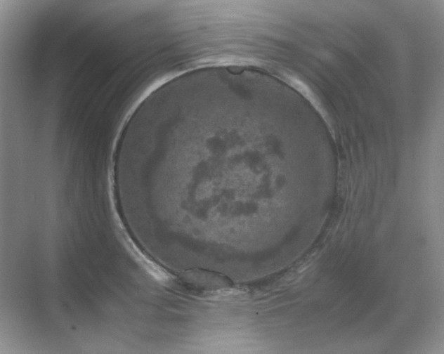 X0000071811187200607072109