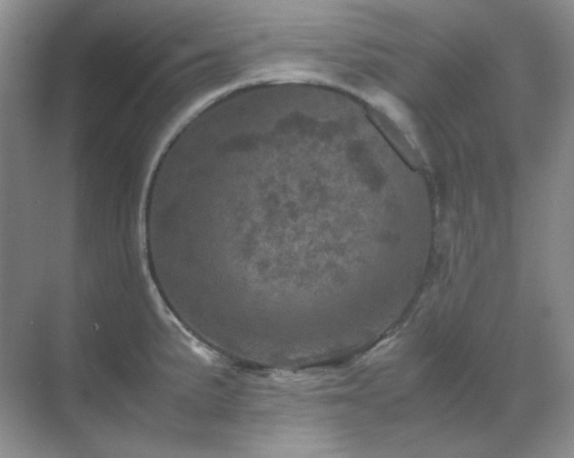 X0000071811191200607072109