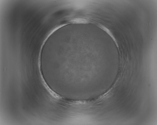 X0000071811195200607072109