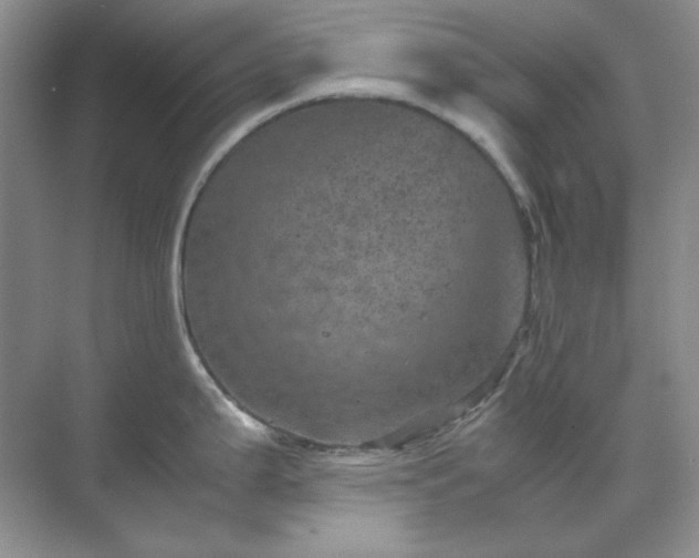 X0000071811199200607072109