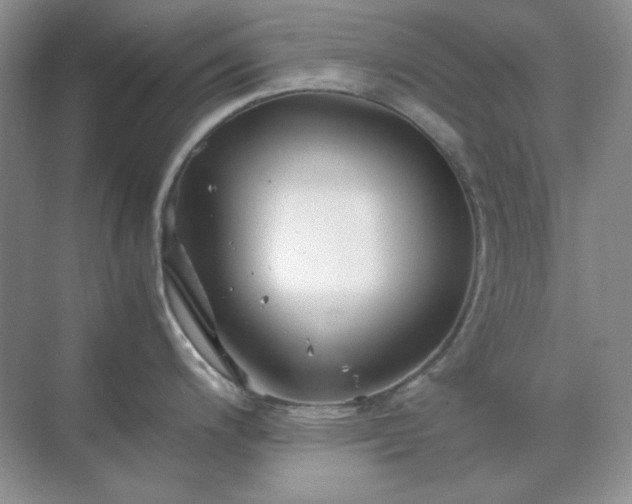 X0000071811200200607072109