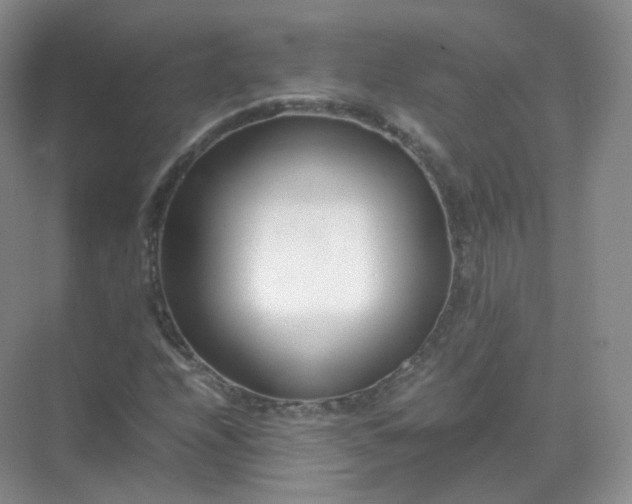 X0000071811208200607072108