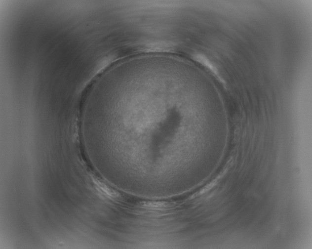 X0000071811211200607072108