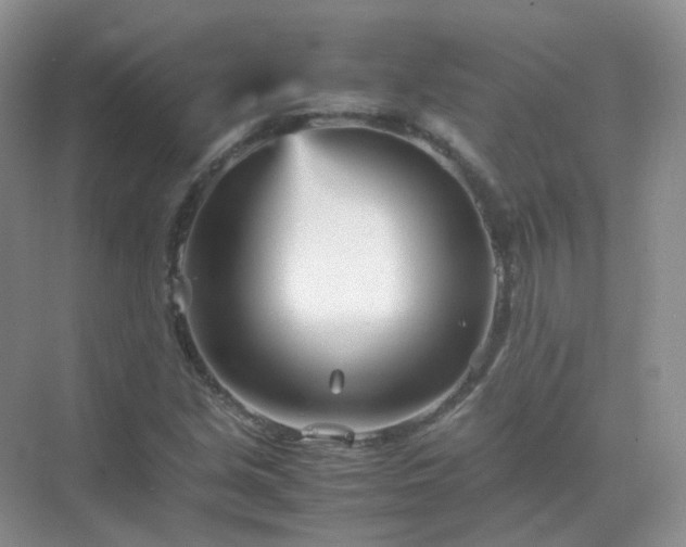 X0000071811213200607072108