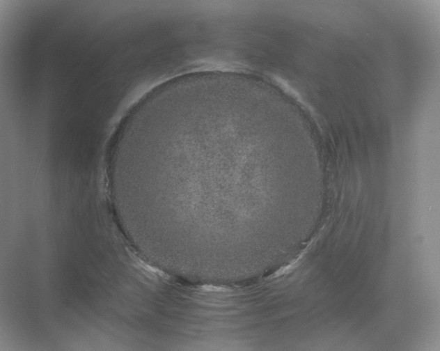 X0000071811215200607072109