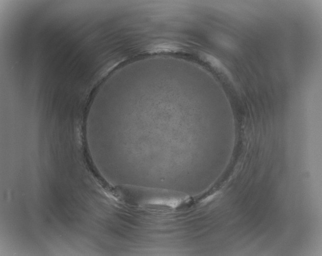 X0000071811217200607072109