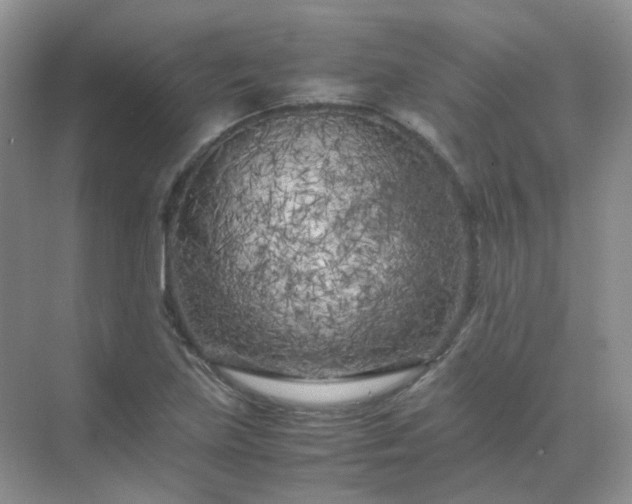 X0000071811219200607072109