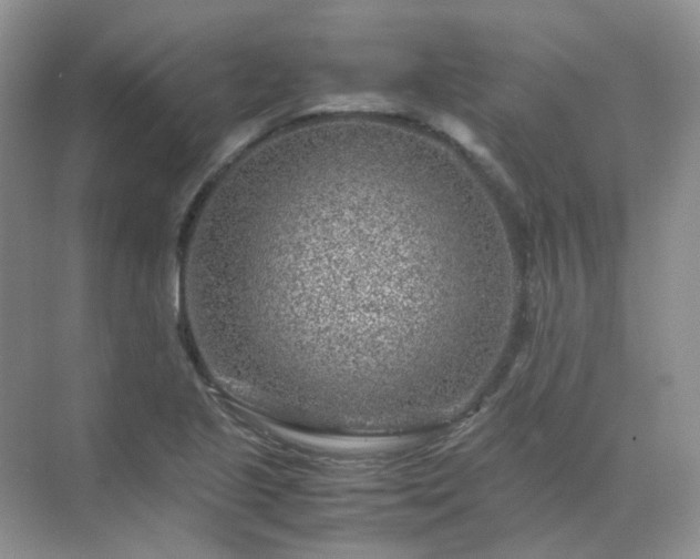 X0000071811221200607072109