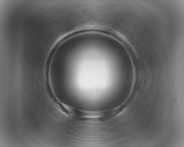 X0000071811222200607072109