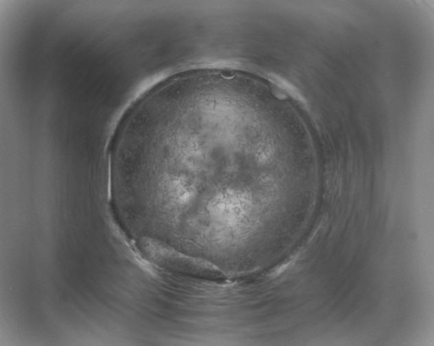 X0000071811223200607072109