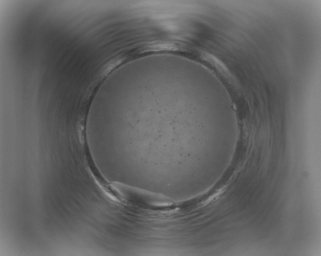 X0000071811225200607072109