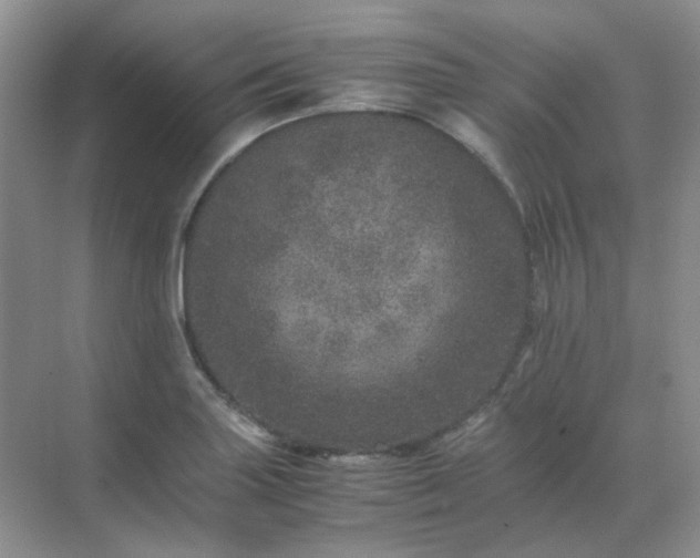 X0000071811227200607072109