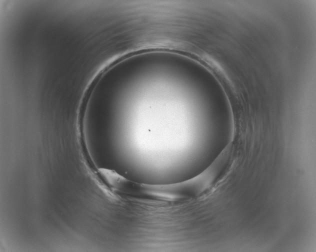 X0000071811230200607072109