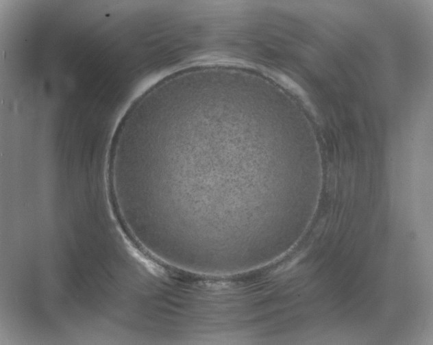 X0000071811231200607072109