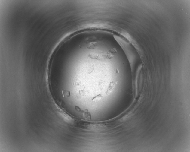 X0000071811232200607072109