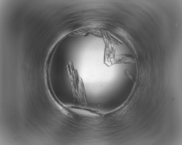 X0000071811235200607072109