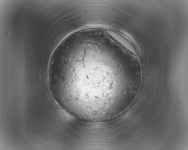 X0000071811236200607072109