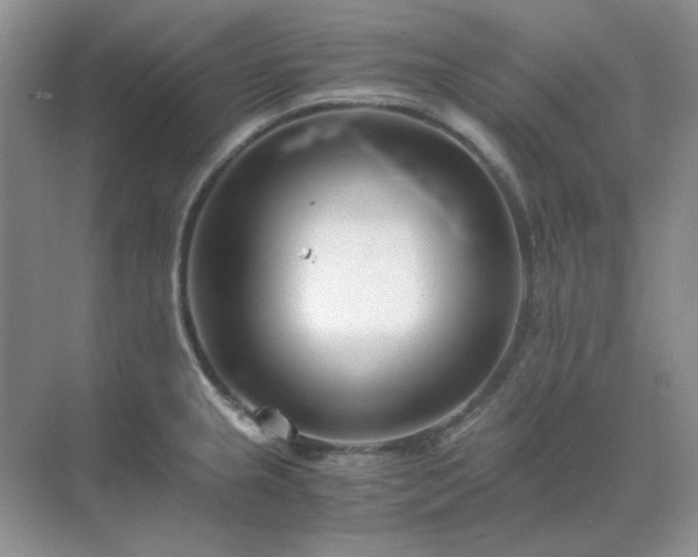 X0000071811237200607072109