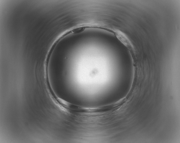 X0000071811238200607072109