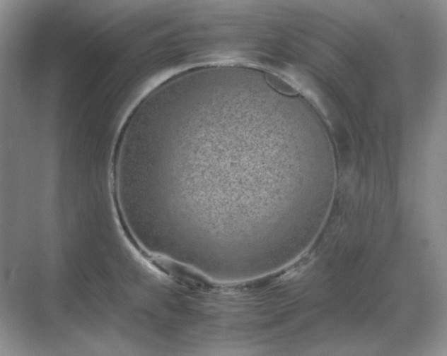 X0000071811239200607072109