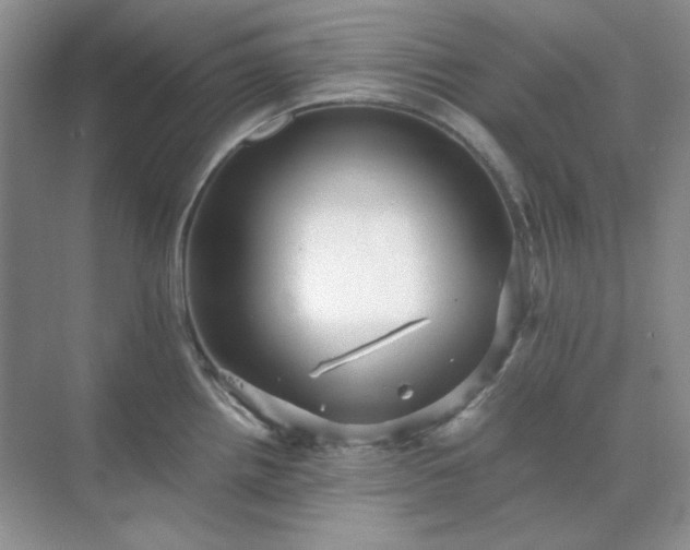 X0000071811242200607072109