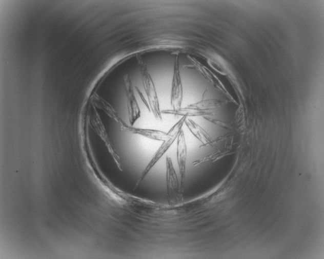 X0000071811243200607072109