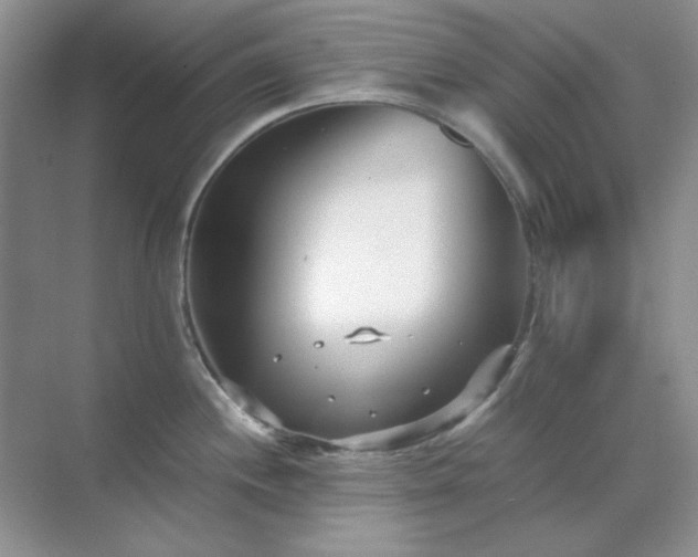 X0000071811244200607072109