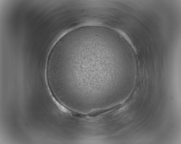 X0000071811245200607072109