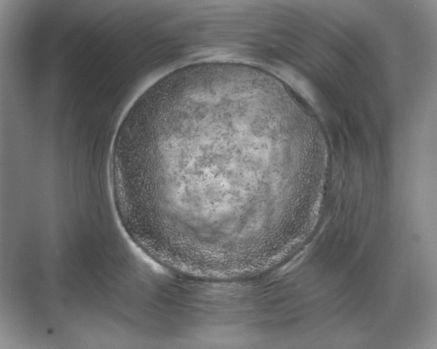 X0000071811247200607072109