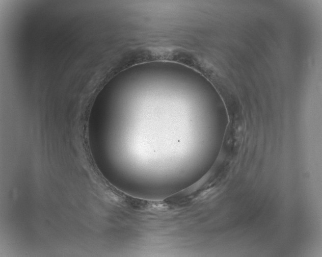 X0000071811249200607072108