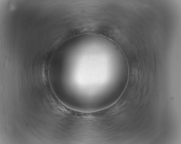 X0000071811250200607072108