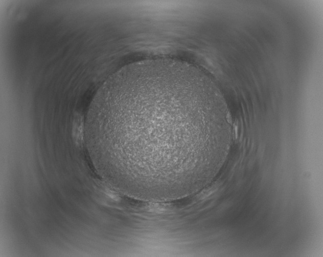 X0000071811251200607072108