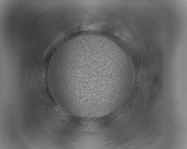 X0000071811254200607072108