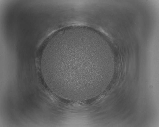 X0000071811255200607072108