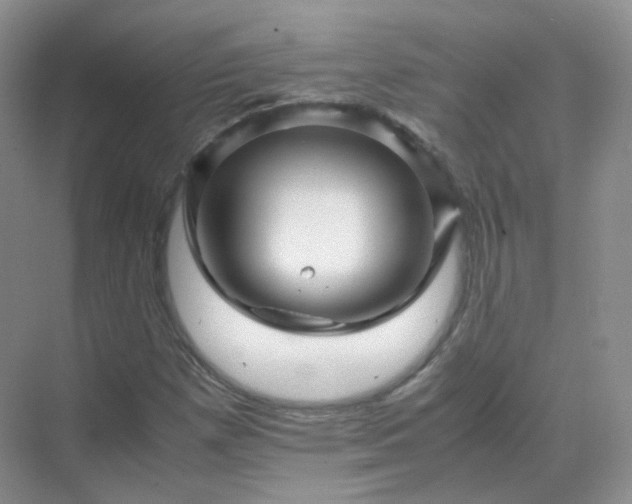 X0000071811257200607072108