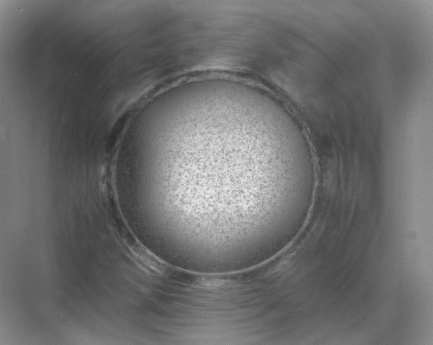 X0000071811258200607072108