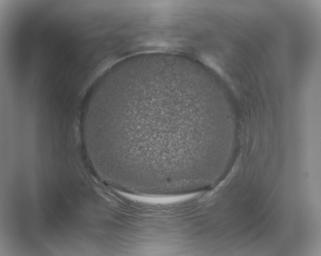 X0000071811259200607072108