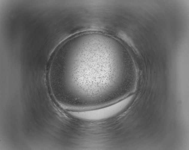 X0000071811260200607072108