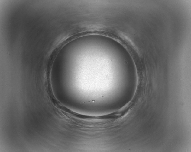 X0000071811261200607072108