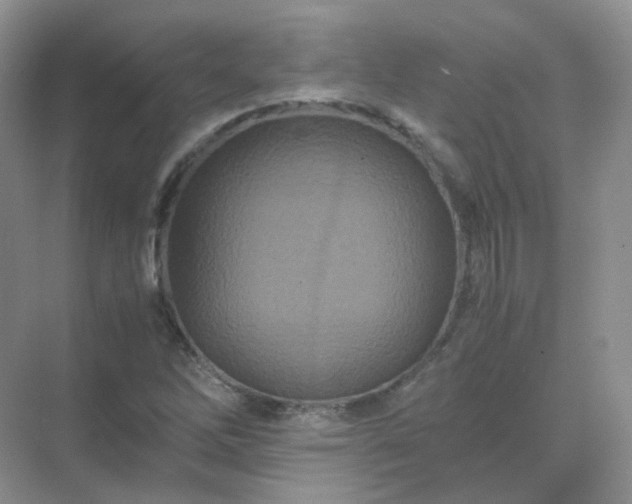 X0000071811262200607072108