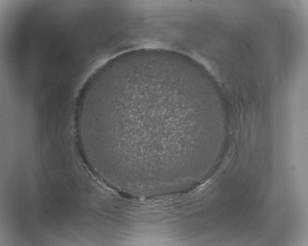 X0000071811263200607072108