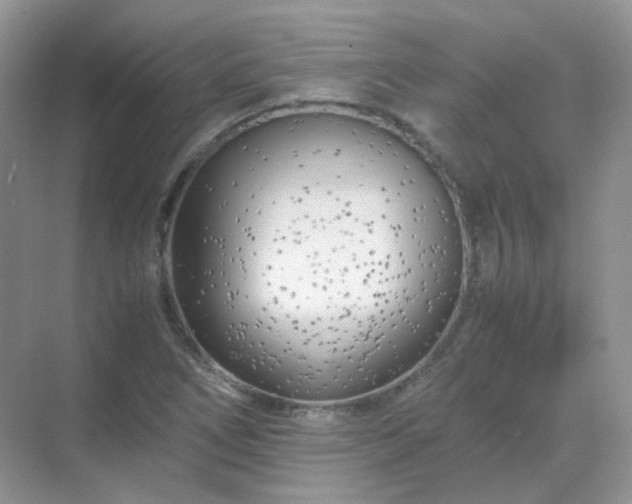 X0000071811266200607072108