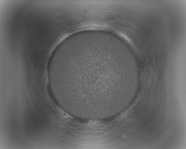 X0000071811267200607072108