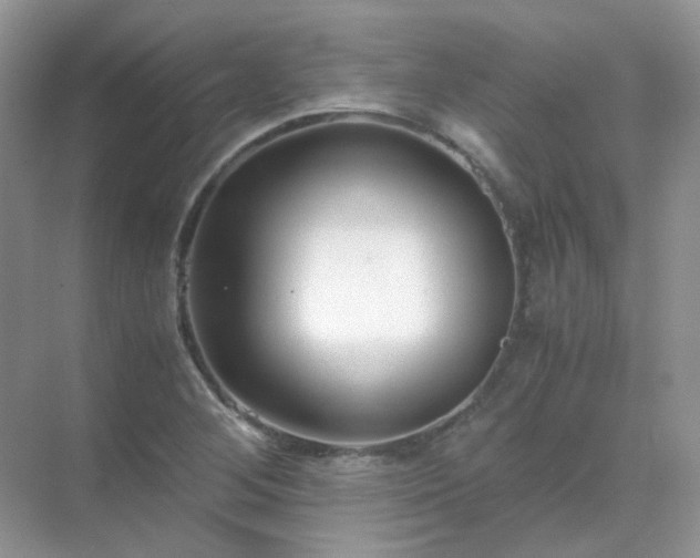 X0000071811268200607072108