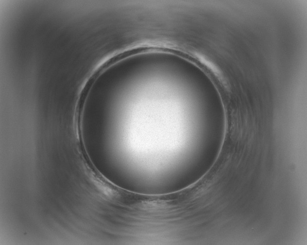 X0000071811272200607072108