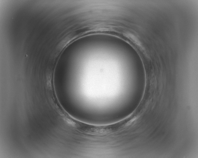 X0000071811273200607072108