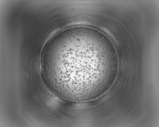 X0000071811274200607072108