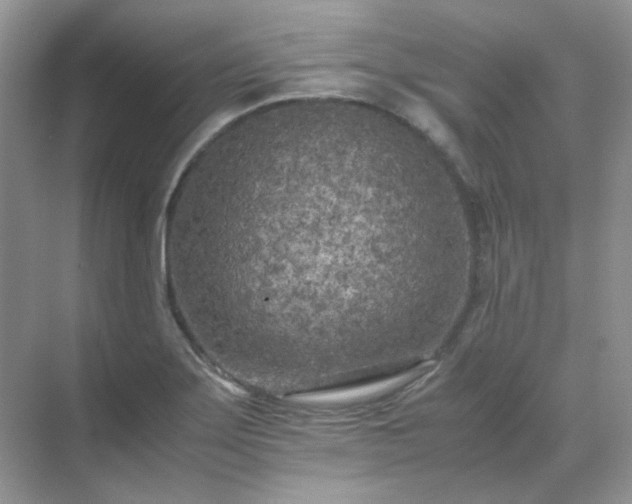 X0000071811275200607072108